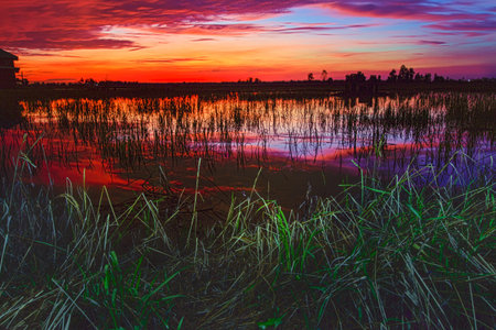 Sunrise of the field in good weather.の写真素材