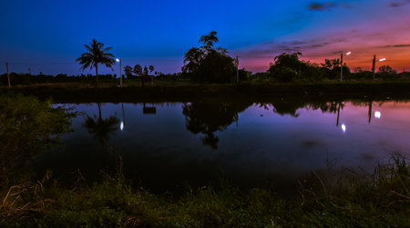 sunsetの写真素材