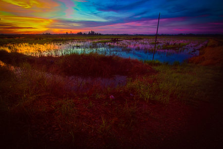 Sun Riseの写真素材