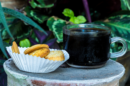 Coffee and cookies in the state of nature enthusiasts....の写真素材