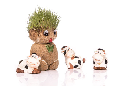 Green Teddyの写真素材