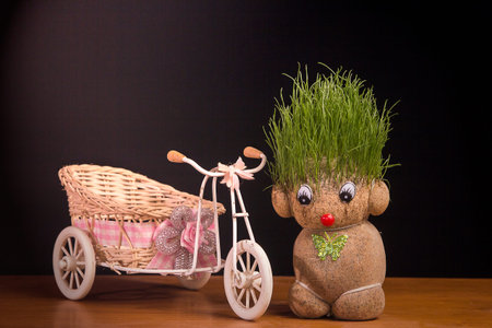 Green Teddyの写真素材