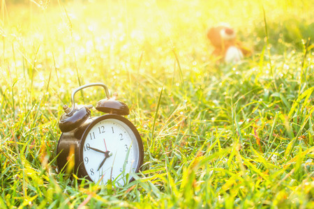 Morning with a teddy bear in a meadow.の写真素材