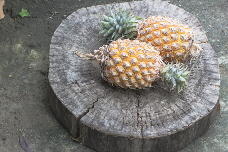 Pineapple on wooden backgroundの写真素材