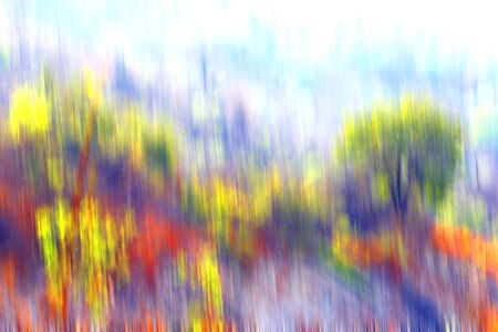 Colorful abstract background The trees of the forest on the mountainの写真素材