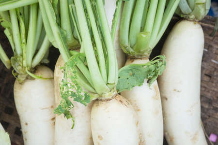 Closeup parts of radish.の写真素材