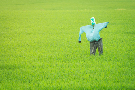 Scarecrow Thailandの写真素材