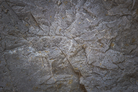 Stone abstract background with a pattern caused by water erosionの写真素材