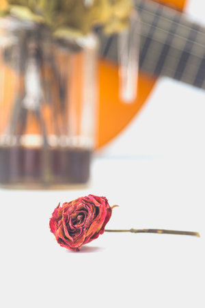 Dry rosesの写真素材