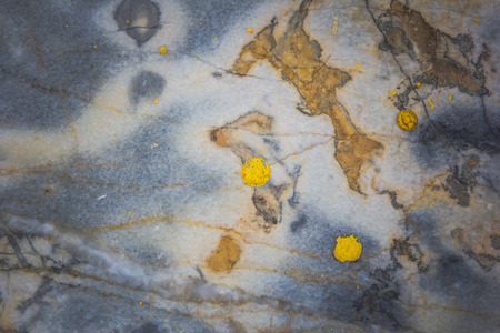 Stone abstract background with a pattern caused by water erosionの写真素材