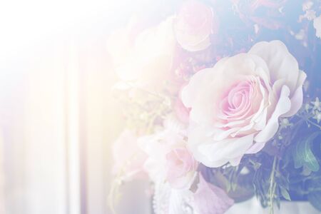 flowers. The color filters.の写真素材