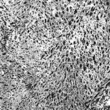 Texture black tone abstract background.
