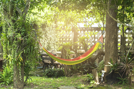 Hammock in the garden at home.の写真素材