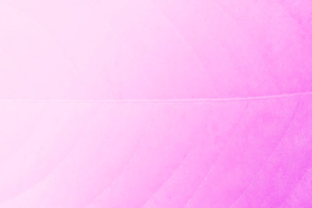 The soft colors of leaves abstract background.の写真素材