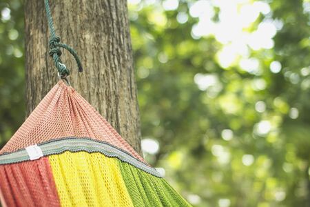 Hammock in the garden at home.Background bokeh.の写真素材