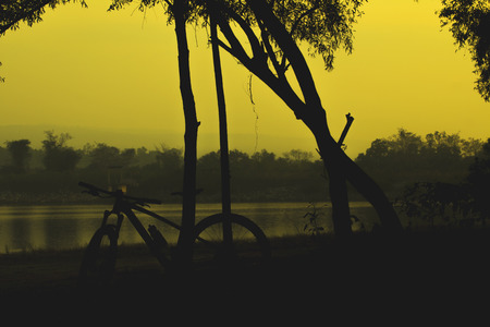 Black silhouettes, landscapes and mountain biking lean against trees along the lake.の写真素材