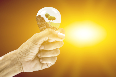 Concept clean energy and environmental goals.Man hands planted in electric bulbs.の写真素材