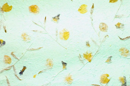 Natural patterns, flowers, leaves, grasses, on the Mulberry paper abstract background.の写真素材