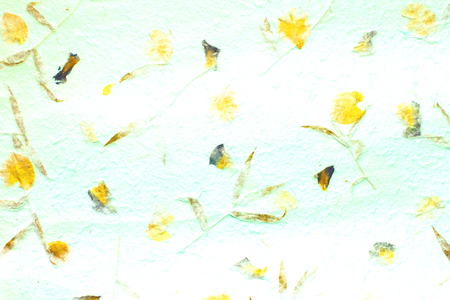Natural patterns, flowers, leaves, grasses, on the Mulberry paper abstract background.の写真素材