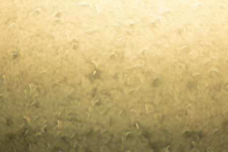 The golden glow of bokeh from the rain.