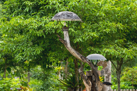 Ideas recycling kitchen equipment is a lamp in the garden. Applying the pan as a lamp to reduce global warming.の写真素材