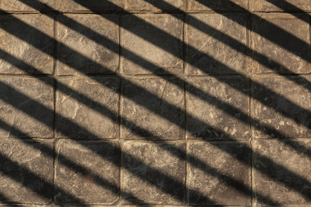 Light and shadow falling on the rough cement floor.