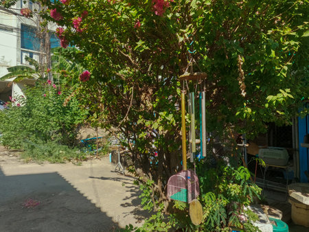 A colorful wind chime mobile hangs on a tree branch.の写真素材