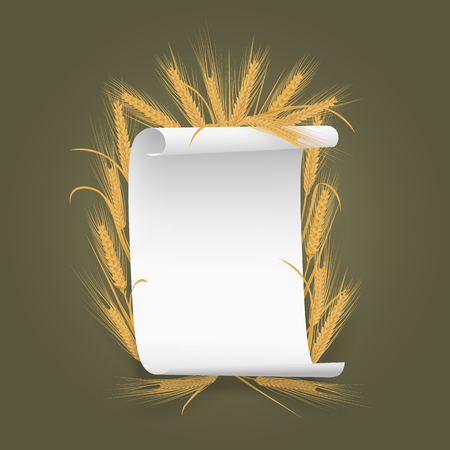 Banner Label template paper sheet with wheat spikelets. illustrationのイラスト素材