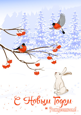 Vector Illustration Russian text Christmas and New Year Greeting. Card with Bullfinch Birds on a Rowan Tree Branch and White Hare collect berries in winter forestのイラスト素材