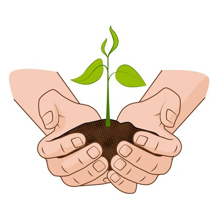 Growing plant in handful soil in hands. Comic style grow business concept vector illustration web infographics.のイラスト素材