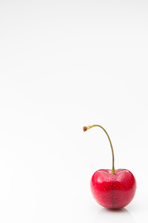 A single cherry in vertical on a white background.の写真素材