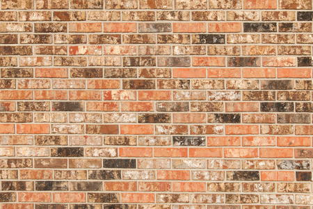 Orange and brown brickwall for a background.の写真素材