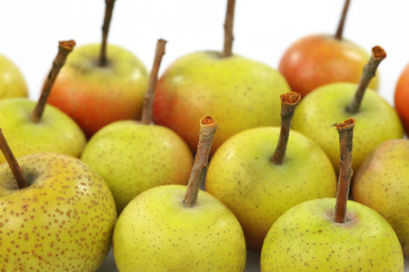 fruits of the Malus Pumila  crabapple  on a white background