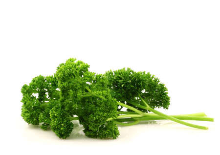 freshly cut green parsley on a white background の写真素材