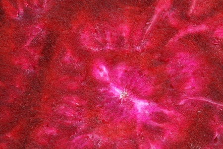 colorful sliced beetroot half background の写真素材