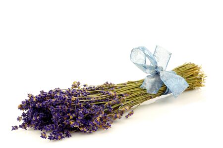 bundle of dried lavender with a blue ribbon isolated on white の写真素材