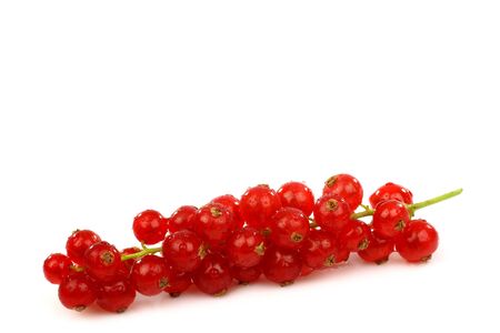 a string of red currant on a white background の写真素材
