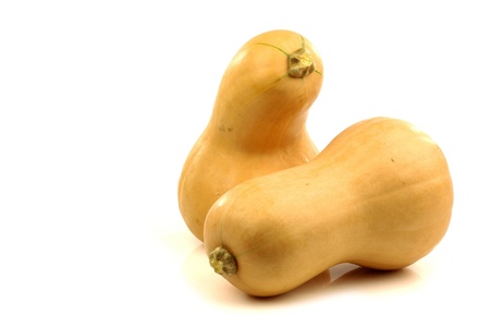pair of bottle shaped butternut pumpkins on a white background の写真素材