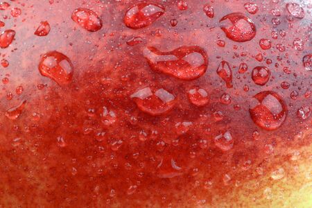 background of shiny water droplets on fruit  nectarine  texture の写真素材
