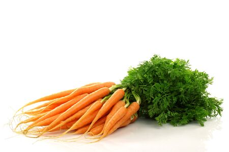 freshly harvested bunch of carrots on a white background の写真素材