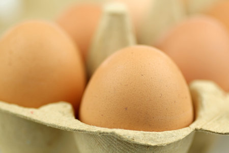 background of a cardboard box with eggs with shallow DOF 