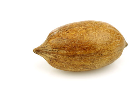 tasty pecan nut on a white background 