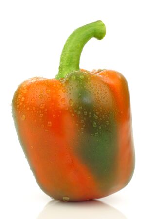one whole and fresh orange and green colored bell pepper  capsicum  on a white background の写真素材