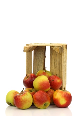fresh red and yellow apples coming from a wooden box on a white background の写真素材