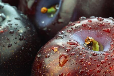 background of a bunch of fresh and ripe plums の写真素材