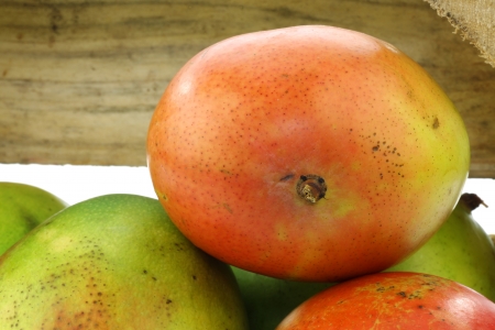 fresh mango fruit in a wooden box on a white background の写真素材