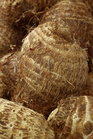 background of fresh taro root colocasia  の写真素材
