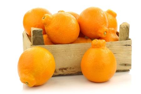 fresh and colorful Minneola tangelo fruit in a wooden crate on a white background の写真素材