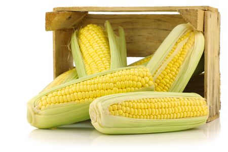 corn on the cob in a wooden crate on a white background の写真素材