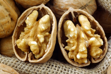background of two fresh walnut halves の写真素材
